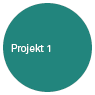 Projekt_1 Waescheleila